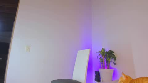 Snapshot of misspaulag chatting on February 2025 12:41:01 AM misspaulag online show from February 2025 12:41:01 AM