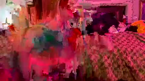 Smashing69 online show from July 2026 06:39:02 PM