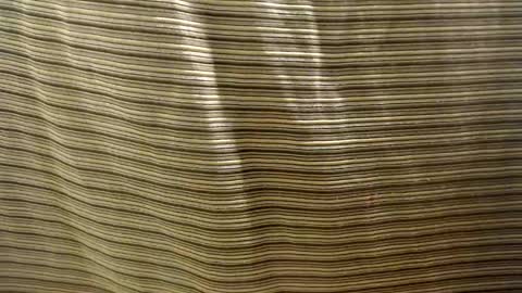 Snapshot of mistynox chatting on January 2025 02:12:02 AM Mistress MISTY online show from January 2025 02:12:02 AM