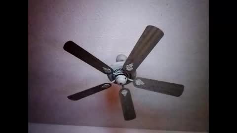 Snapshot of mitchnails69 chatting on December 2024 07:24:02 AM BobbyMitchGa online show from December 2024 07:24:02 AM