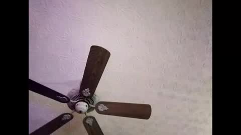 Snapshot of mitchnails69 chatting on January 2025 06:41:01 AM BobbyMitchGa online show from January 2025 06:41:01 AM