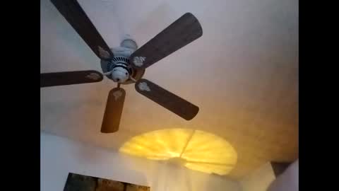 Snapshot of mitchnails69 chatting on January 2025 01:14:01 PM BobbyMitchGa online show from January 2025 01:14:01 PM