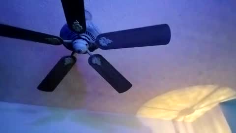 Snapshot of mitchnails69 chatting on February 2025 07:04:02 AM BobbyMitchGa online show from February 2025 07:04:02 AM