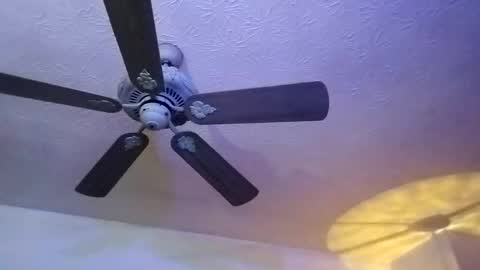 Snapshot of mitchnails69 chatting on February 2025 12:44:02 PM BobbyMitchGa online show from February 2025 12:44:02 PM