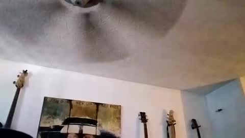 Snapshot of mitchnails69 chatting on September 2025 06:18:01 PM BobbyMitchGa online show from September 2025 06:18:01 PM