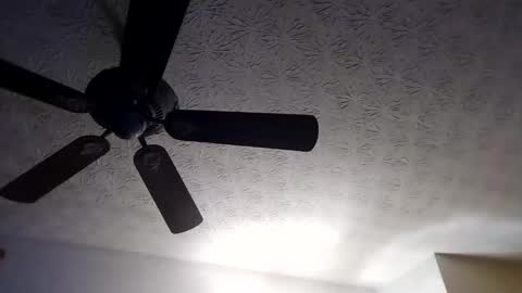 Snapshot of mitchnails69 chatting on September 2025 10:28:01 AM BobbyMitchGa online show from September 2025 10:28:01 AM