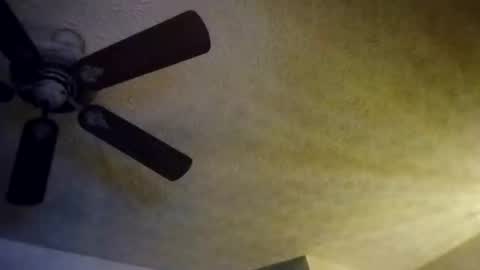 Snapshot of mitchnails69 chatting on October 2025 08:13:01 AM BobbyMitchGa online show from October 2025 08:13:01 AM