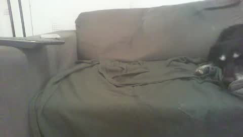 Snapshot of mixandflair chatting on December 2024 08:47:02 PM mixandflair online show from December 2024 08:47:02 PM