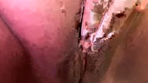 mmmtara online show from November 2025 02:48:02 AM