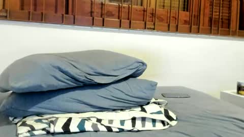 Snapshot of moderdelier chatting on December 2024 09:11:02 PM DigBreed online show from December 2024 09:11:02 PM