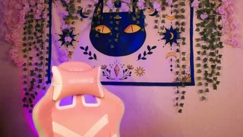 molly_kisss online show from May 2026 06:29:01 AM