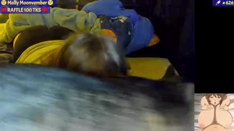 Snapshot of molly_moons chatting on November 2025 07:03:01 AM molly_moons online show from November 2025 07:03:01 AM