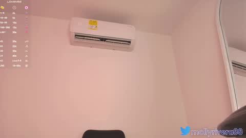 Snapshot of mollyrivera chatting on March 2025 08:31:01 PM Molly online show from March 2025 08:31:01 PM