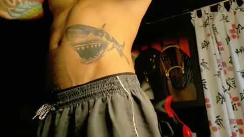 Molotov online show from November 2025 09:15:02 PM