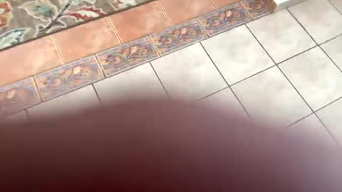 mommymona online show from July 2026 08:14:01 PM