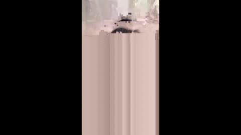 shirybeb online show from January 2026 12:29:02 PM