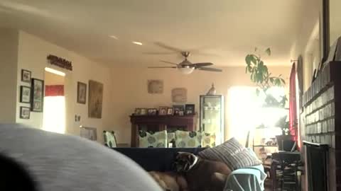 Snapshot of monkeedance chatting on December 2024 08:07:02 PM Monkee Dance online show from December 2024 08:07:02 PM