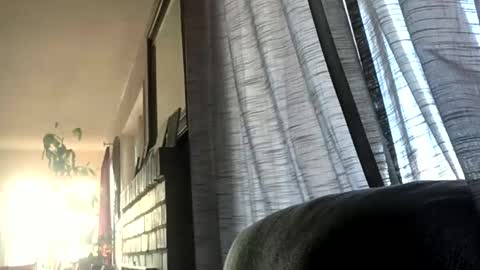 Snapshot of monkeedance chatting on December 2024 05:36:02 PM Monkee Dance online show from December 2024 05:36:02 PM