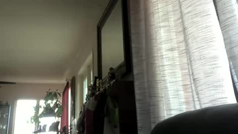 Snapshot of monkeedance chatting on December 2024 10:01:02 PM Monkee Dance online show from December 2024 10:01:02 PM