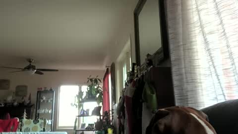 Snapshot of monkeedance chatting on December 2024 10:25:01 PM Monkee Dance online show from December 2024 10:25:01 PM