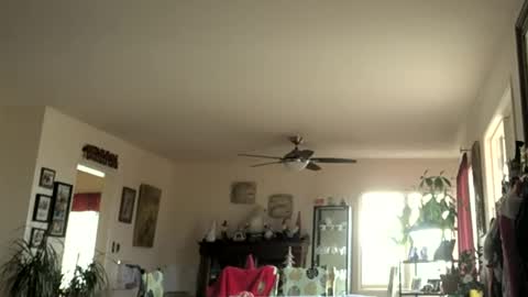 Snapshot of monkeedance chatting on January 2025 07:43:01 PM Monkee Dance online show from January 2025 07:43:01 PM