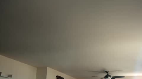 Snapshot of monkeedance chatting on January 2025 05:44:01 PM Monkee Dance online show from January 2025 05:44:01 PM