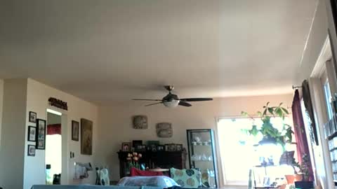 Snapshot of monkeedance chatting on January 2025 05:35:02 PM Monkee Dance online show from January 2025 05:35:02 PM