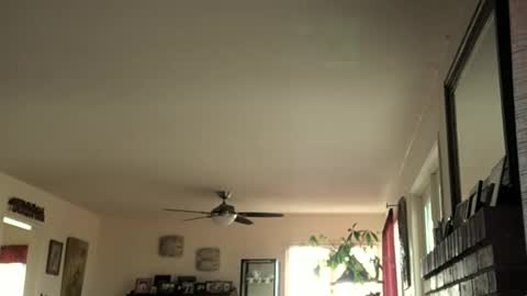 Snapshot of monkeedance chatting on February 2025 05:37:01 PM Monkee Dance online show from February 2025 05:37:01 PM