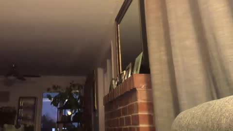 Snapshot of monkeedance chatting on February 2025 02:17:02 AM Monkee Dance online show from February 2025 02:17:02 AM