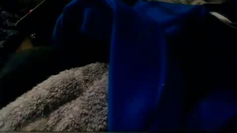 Snapshot of montanacock666 chatting on November 2025 06:28:01 AM montanacock666 online show from November 2025 06:28:01 AM