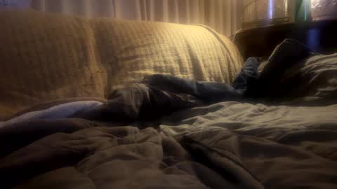 Mitchell online show from February 2025 11:31:02 AM