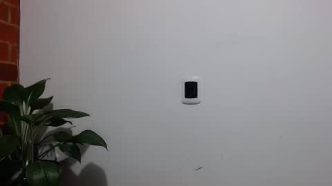 Abelardo online show from April 2026 04:57:01 AM