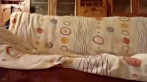 Nomadu online show from December 2024 08:04:01 AM