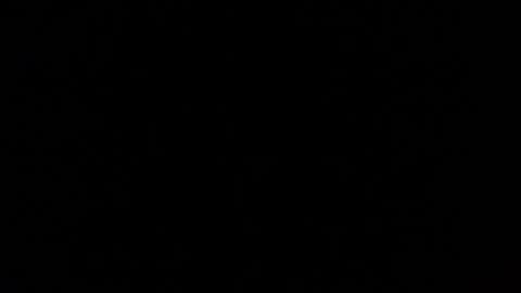 Nomadu online show from March 2025 05:49:01 PM