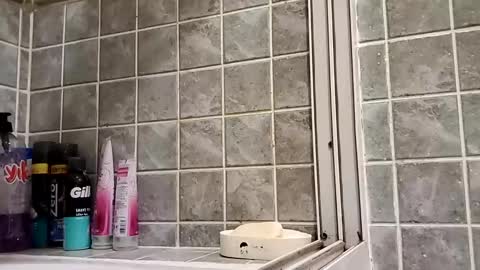 Snapshot of moss127 chatting on December 2024 03:20:02 PM twennysevv27 online show from December 2024 03:20:02 PM