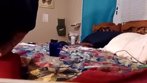 Snapshot of mottsmuff chatting on February 2025 08:24:01 AM B online show from February 2025 08:24:01 AM