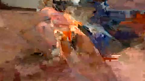 Flying Bird online show from January 2026 10:46:01 PM