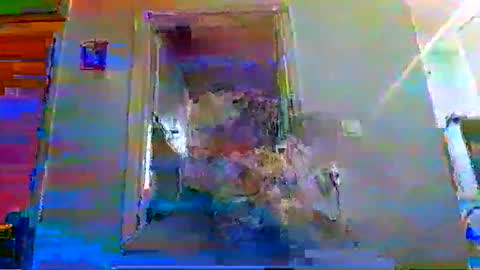 mppempis81 online show from November 2025 03:17:02 PM