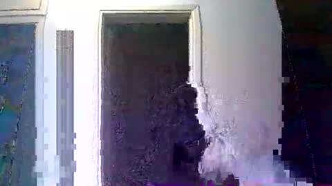 mppempis81 online show from January 2026 10:03:01 PM