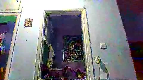 mppempis81 online show from January 2026 03:50:01 PM