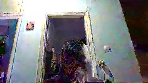 mppempis81 online show from February 2026 08:25:02 PM