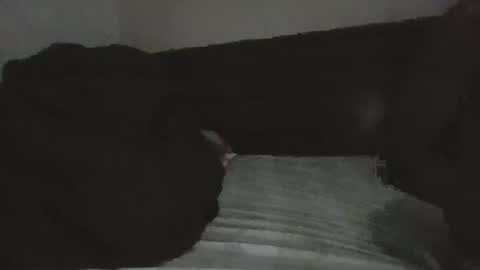 mr hooked online show from November 2025 04:06:02 AM