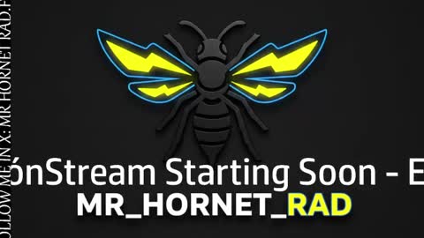 Snapshot of mr_hornet_rad chatting on April 2026 01:47:02 AM mr_hornet_rad online show from April 2026 01:47:02 AM