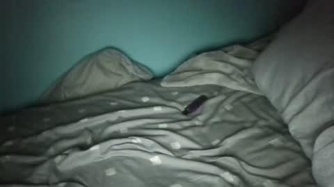 mrbig47xo online show from February 2026 06:28:01 AM