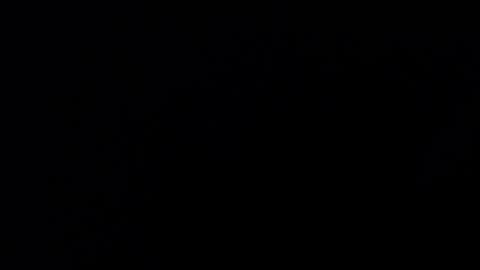 mrbillxxx online show from April 2026 12:22:01 PM