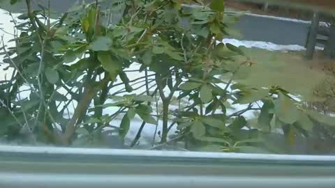 Snapshot of mrbrigggs chatting on January 2026 12:11:01 PM mrbrigggs online show from January 2026 12:11:01 PM