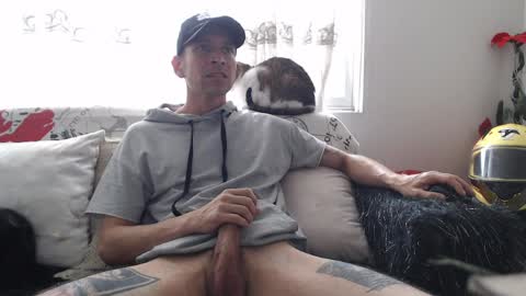 Snapshot of mrcock_col chatting on April 2026 05:13:02 PM mrcock_col online show from April 2026 05:13:02 PM