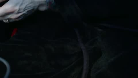 IwantU2WatchME online show from February 2026 03:15:02 PM