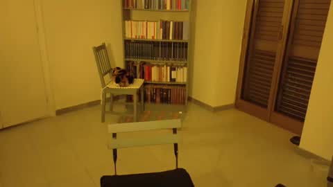 mrkurt86 online show from November 2025 04:49:01 PM