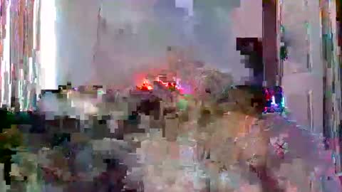 mrmountainman91 online show from December 2025 05:54:01 PM